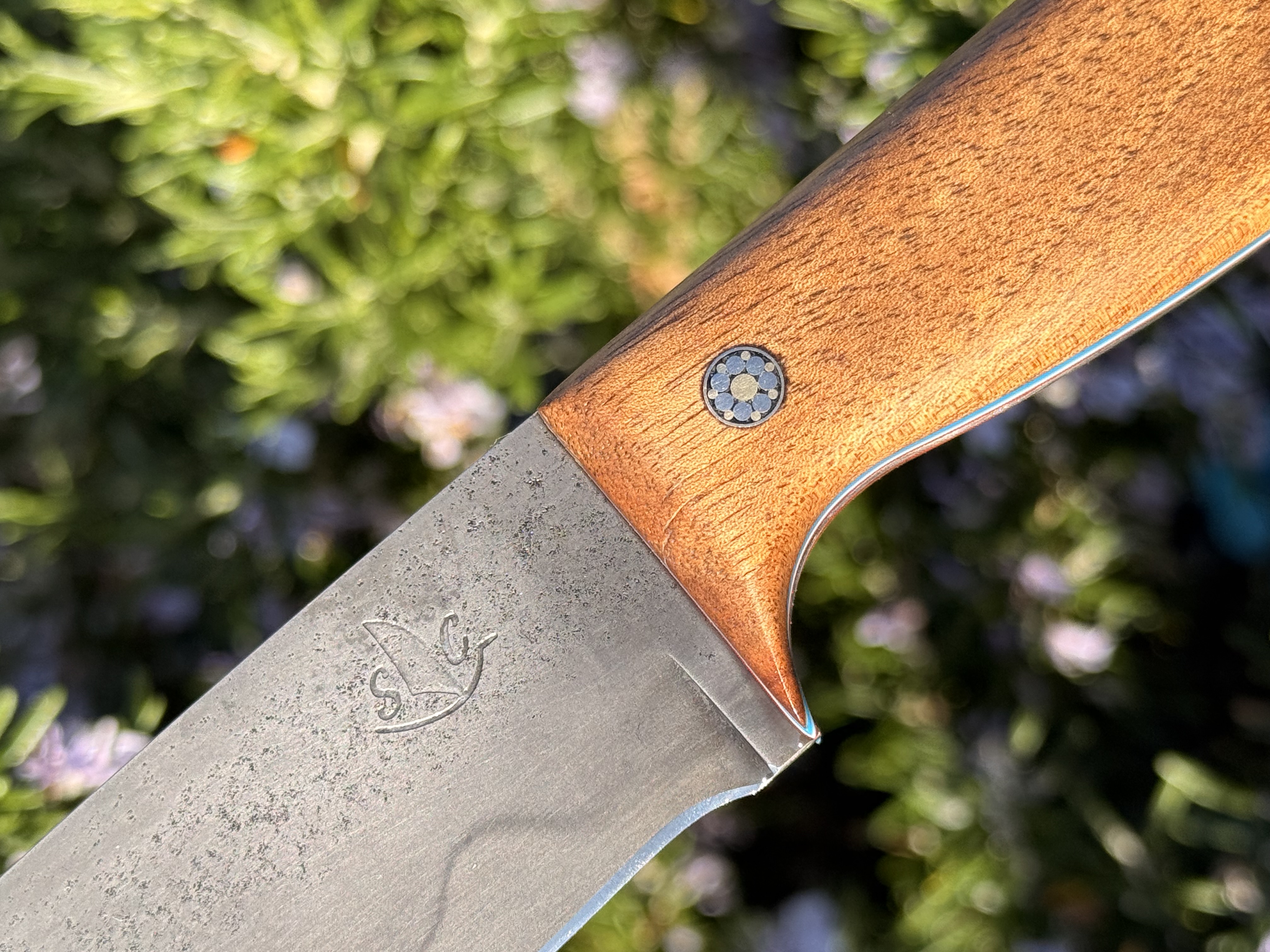 LE COOK-BARQUAIS N°12